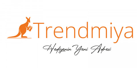 TRENDMİYA İNTERNET HİZMETLERİ TİC. LTD. ŞTİ.